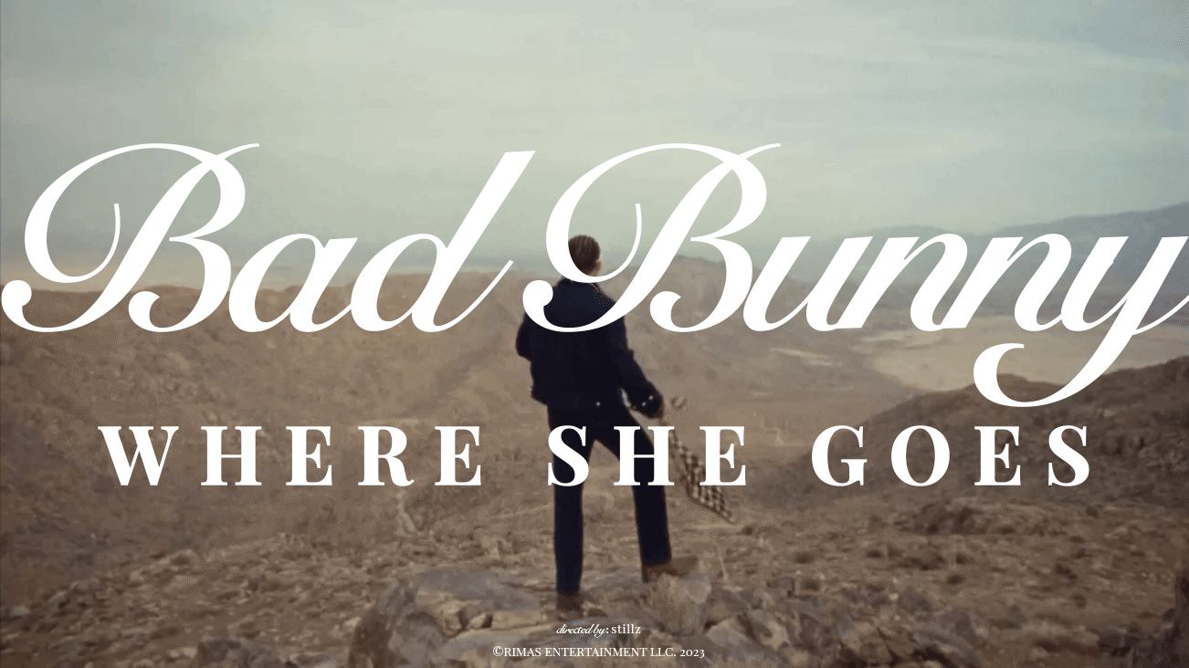 Animated GIF preview from the project